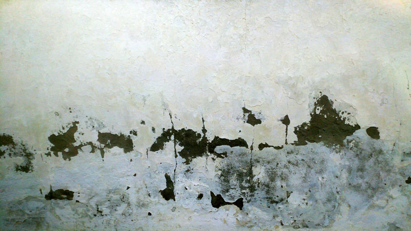 Na czym polega osuszanie budynków metodą cięcia?